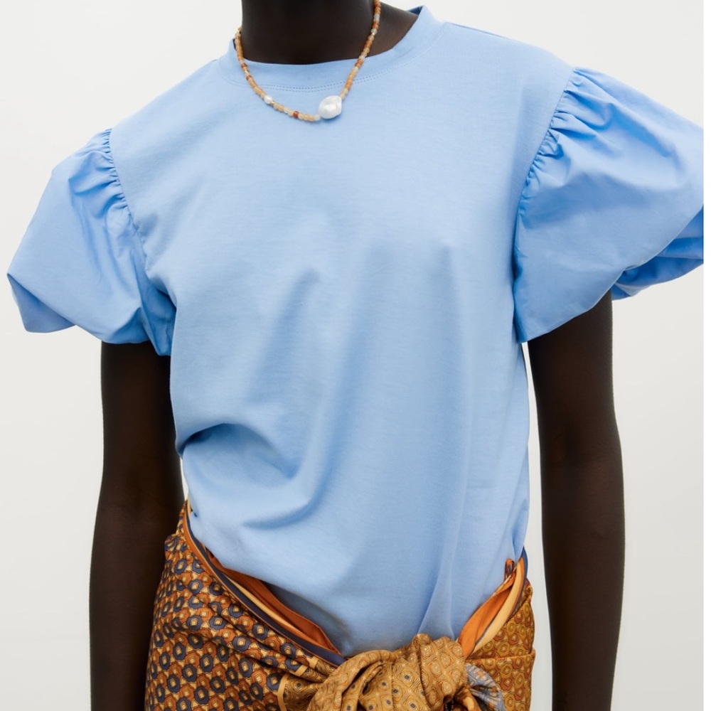 Zara Balloon Sleeve Top